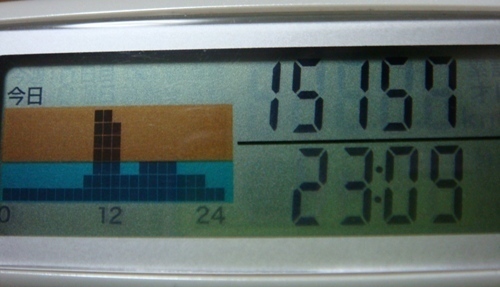 15157歩.JPG