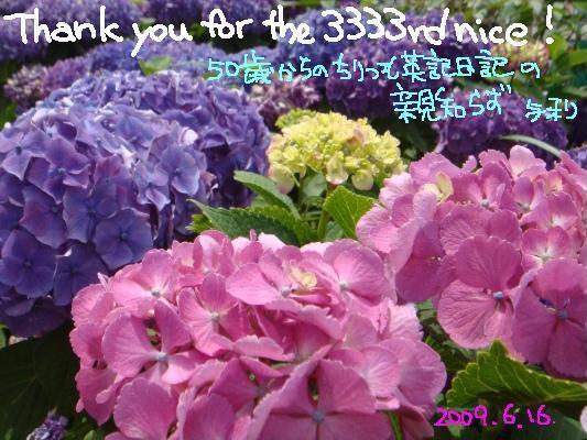 3333nice! 記念カード.JPG