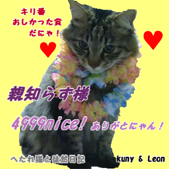 4999E381ABE3819BEFBC81.png