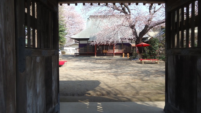 DSC01268.JPG