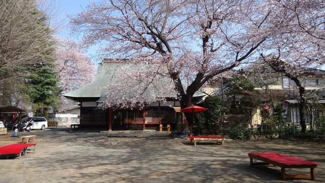 DSC01270.JPG