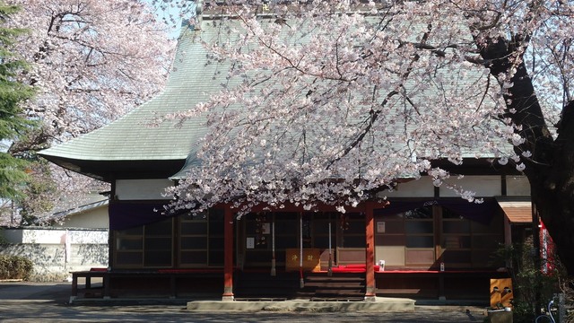 DSC01278.JPG