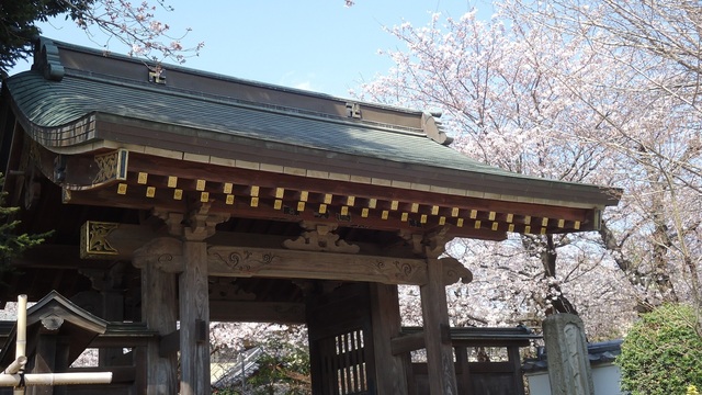 DSC01283.JPG