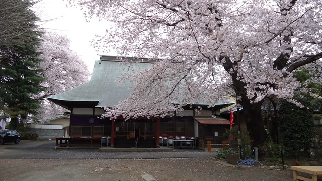 DSC01324.JPG