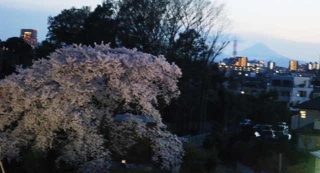 DSC01335.JPG