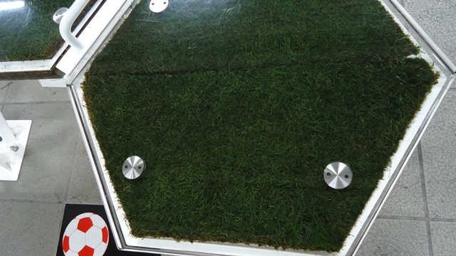 DSC01360.JPG