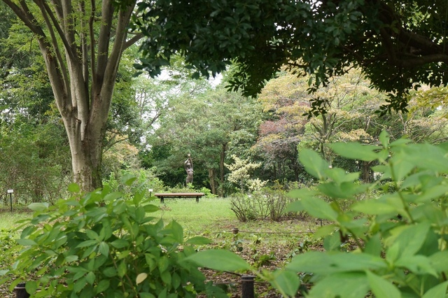 DSC01716.JPG