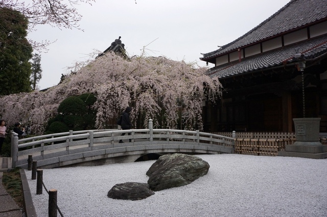 DSC02223.JPG