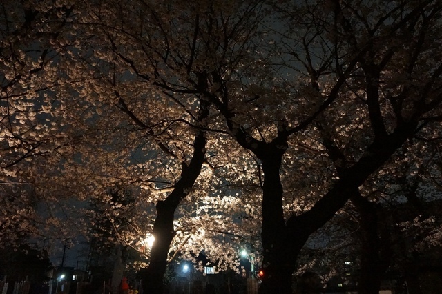 DSC02308.JPG