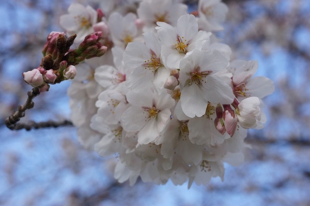 DSC02788.JPG