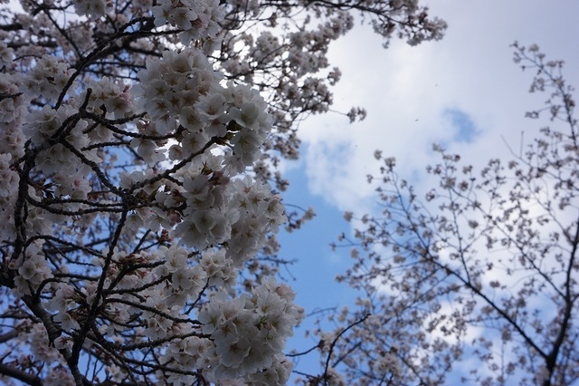 DSC02807.JPG