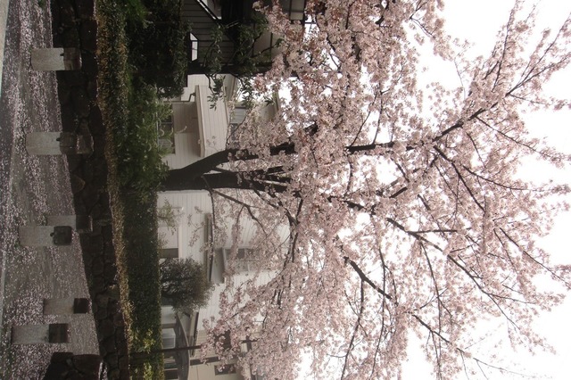 DSC06481.JPG
