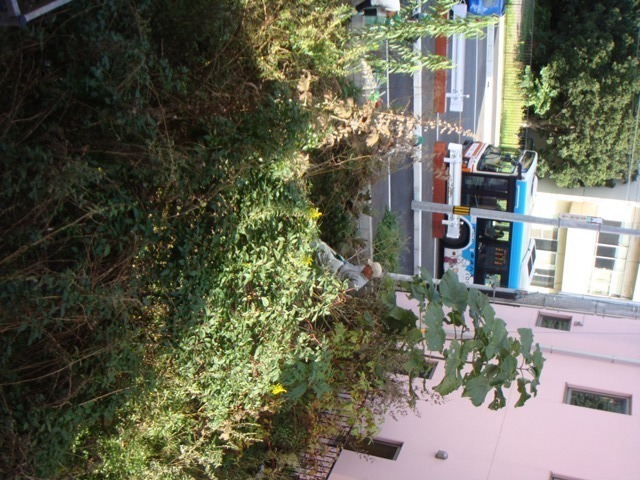 DSC09895.JPG