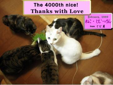 じむ員さんの4000nice!カード.jpg
