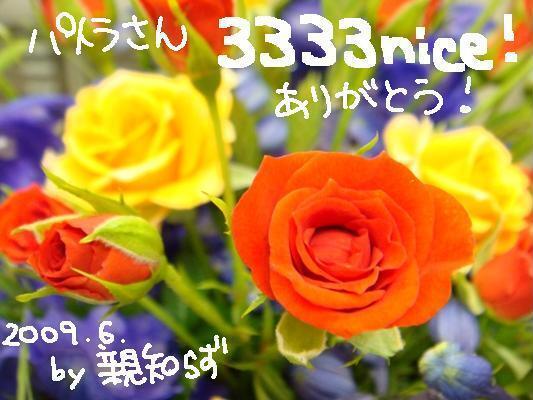 パトラさんへ3333nice! キリ番カード.JPG