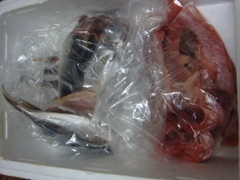 干物.JPG