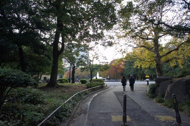 散歩道.JPG