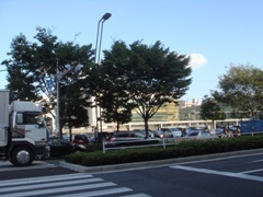 東京都現代美術館.JPG