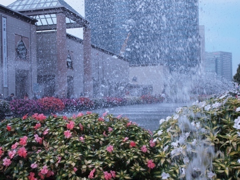横浜美術館.JPG