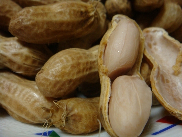 茹で落花生.JPG